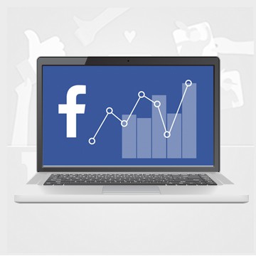 W.I.N. Facebook Analytics